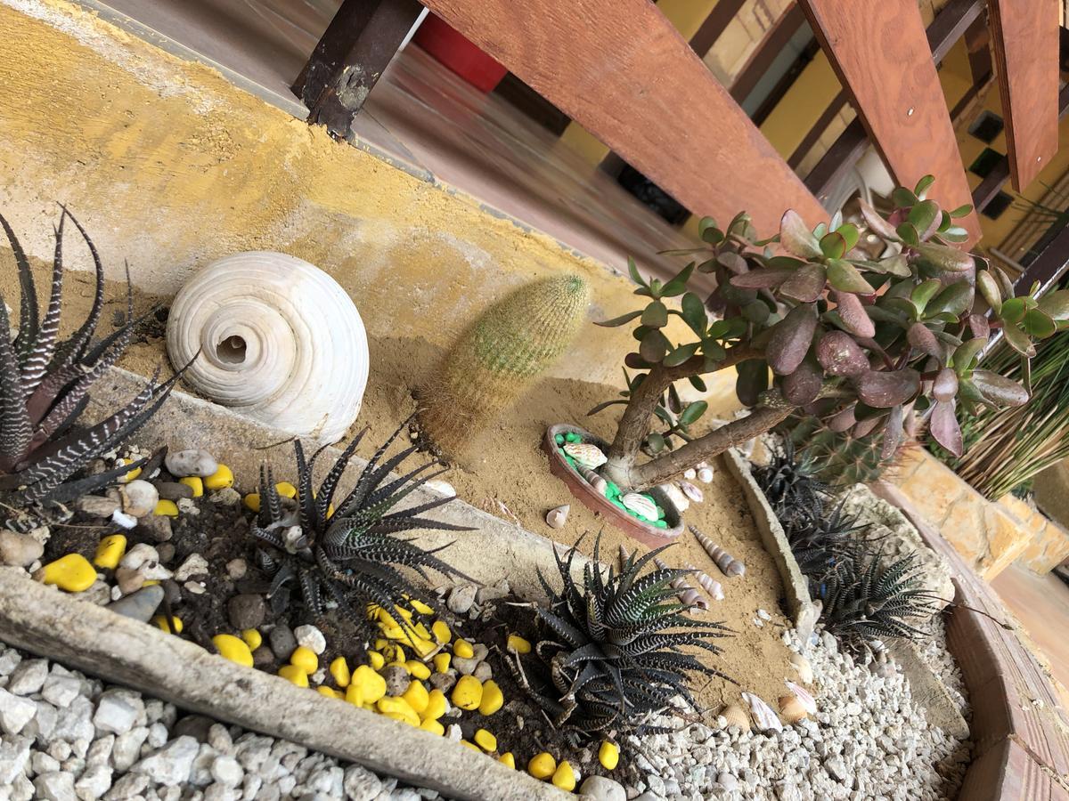 B&B Magna Grecia Agrigento Ngoại thất bức ảnh